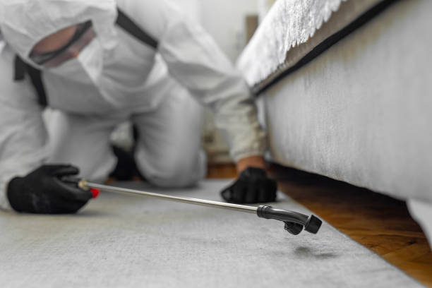 Professional Termite Control technician working in Lakewood Club, MI