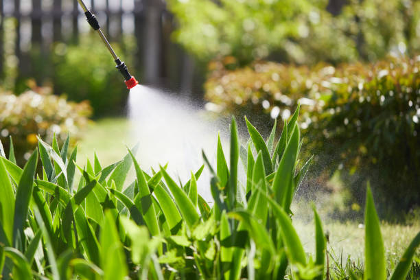 24/7 Emergency Termite Control experts in Lakewood Club, MI
