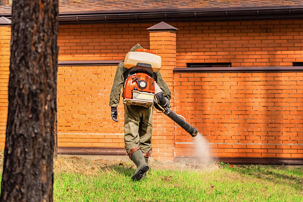Trusted Rodent Control service in Lakewood Club, MI - Nex Pest Control